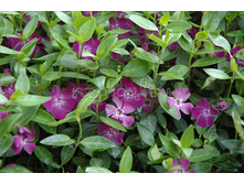 120���. �������� ����� ������������ .jpg