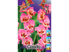 9,41���. ��������� �����(���������� ������ ������ ���������� �� 9 ��.).jpg