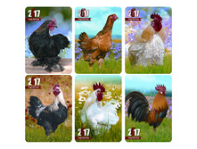 ��������� ��������� ��� ������, ��������� ���������, 2017 �. 1,71 +  7 ��.jpg