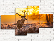 ����� 4-1.jpg