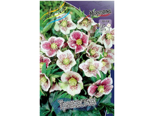 191,1���. �������� ���������(�������� ���� �� 1 ��., ����������� ����� 1��.).jpg