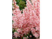 82,9���. �������� ��� �� ��(�������� ���� �� 2 ��., ����������� ����� 1��.).jpg