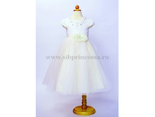 ������ 355