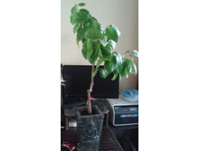 20161026 131030.jpg