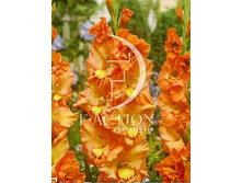 9,11���. ��������� ������(���������� ������ ������ ���������� �� 8 ��.)���17.jpg