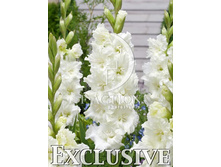 9,11���. ��������� ��������(���������� ������ ������ ���������� �� 8 ��.).jpg