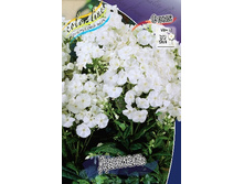 55,57���. ����� �������(�������� ���� �� 3 ��., ����������� ����� 1��.).jpg