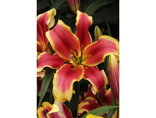 29,87���. ����� ������(��� 7 ��. ���������� �� 2��.).jpg