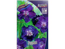 70,25���. �������� �����(�������� ���� �� 2 ��., ����������� ����� 1��.).jpg