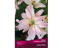 ����� ������ ����.jpg