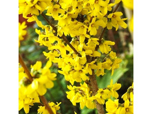 136���. �������� ������������� ����������.jpg