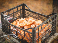 57f6829dccab1 dsc4436.jpg