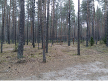 IMG 20161029 080839.jpg