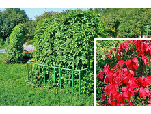 150���. ������� �������� �������̣����.jpg