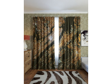 �� �������.jpg