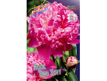 169���. ���� ���� ��� ����(�������� ���� �� 1 ��., ����������� ����� 1��.).jpg