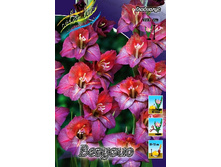 8,53���. ��������� �������(���������� ������ ������ ���������� �� 7 ��.).jpg