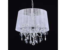 379017805 5700�.jpg