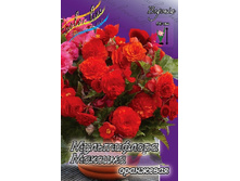 50,6���. ������� ����������� ������� ��������� (�������� ���� �� 3 ��., ����������� ����� 1��.).jpg