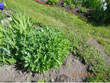 DSCN2113.JPG