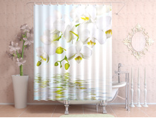 ������ ������.jpg