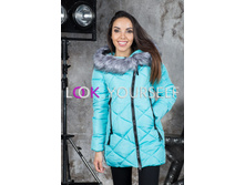 ������ ���.8124 ������.jpg