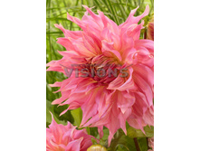 83,5���. �������� ������� ����������(�������� ���� �� 1 ��., ����������� ����� 1��.)���16.jpg