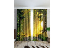 ������ ����� ���.jpg