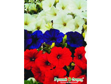 �.������� ������� �������� ���. ����.jpeg