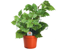 ������ ���������� �������� 14�30. 399 ���.jpg