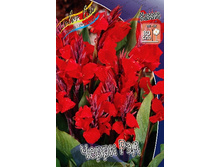 62,35���. ����� (�����) ����� ���(�������� ���� �� 2 ��., ����������� ����� 1��.).jpg