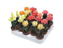 ������������� �������� ���� 8�20. 248,85 ���.jpg