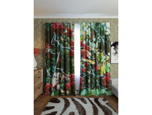 ������ �����.jpg