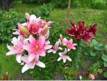 DSCN2120.JPG
