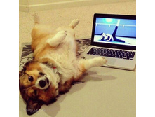 ����������)