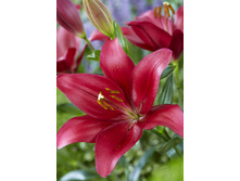 16,37���. ����� ������ �����(��� 7 ��. ���������� �� 2��.).jpg