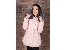 ������ ���.920, 1950�