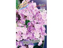 48,93���. ����� ���� �����(�������� ���� �� 3 ��., ����������� ����� 1��.).jpg