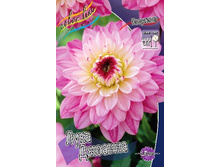 74,2���. �������� ���� �������(�������� ���� �� 1 ��., ����������� ����� 1��.).jpg