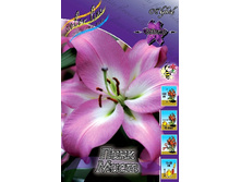 32,4���. ����� ���� ����(��� 7 ��. ���������� �� 2��.).jpg