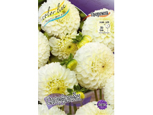 64,8���. �������� ���������(�������� ���� �� 1 ��., ����������� ����� 1��.).jpg