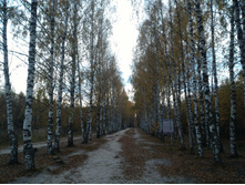 P 20161002 173351.jpg