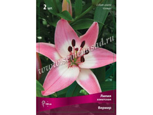 ����� ������.jpg