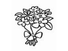 Image593.png