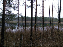 IMG 20161029 111357.jpg