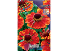 63,95���. �������� �����(�������� ���� �� 2 ��., ����������� ����� 1��.).jpg