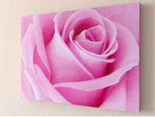 ���� 1-1.jpg