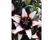 23,11���. ����� ���� ��(��� 7 ��. ���������� �� 2��.).jpg