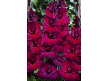 7,86���. ��������� ��� ������(���������� ������ ������ ���������� �� 7 ��.)���17.jpg