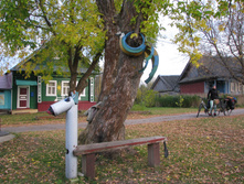 IMG 7119.JPG